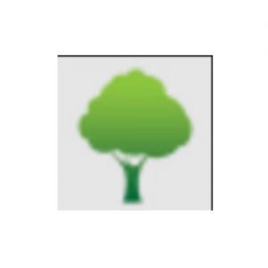 Hawthorne Tree Service Pros